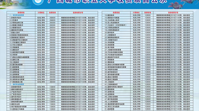 2024年买球（中国）收费项目公示